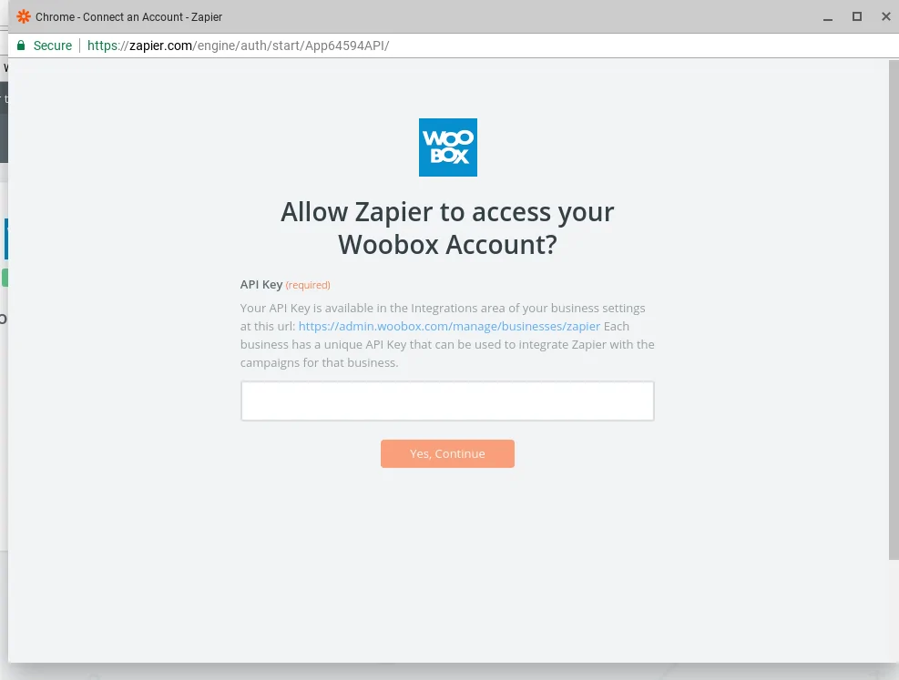 Zapier API key field