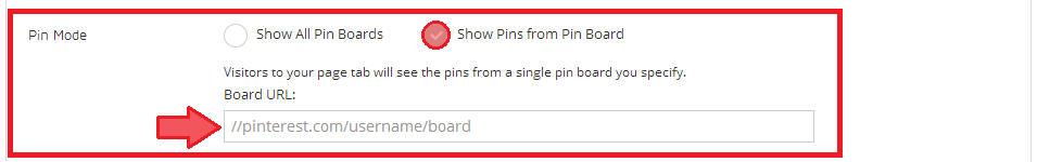 Show pins from board