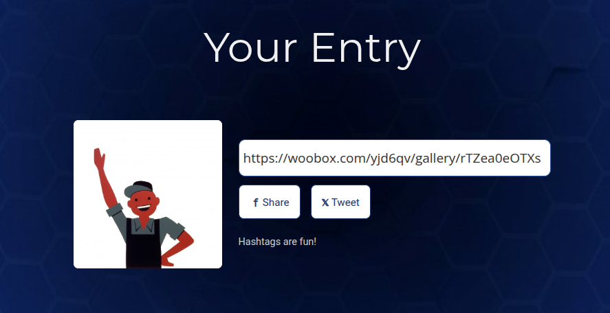 Photo/Video Contest post-entry preview