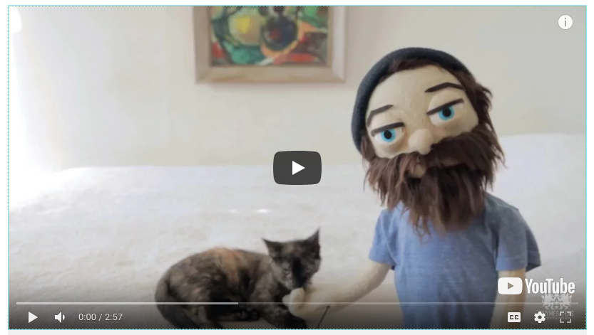 Video element