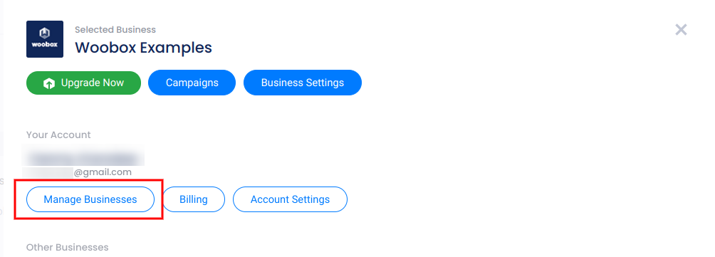 Account panel - Manage businesses