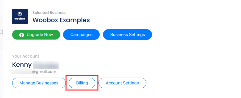 Account panel - billing