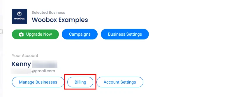 Account panel - billing