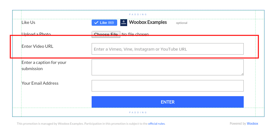 Video URL field in Form Element