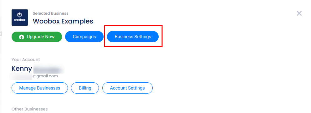 Account panel - Business Settings