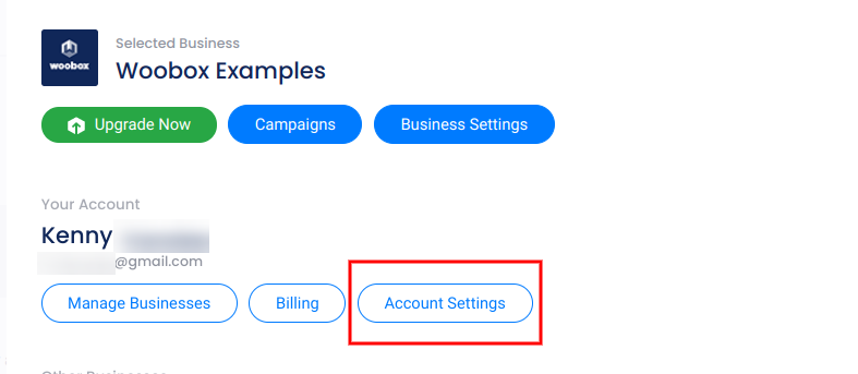 Account panel - account settings